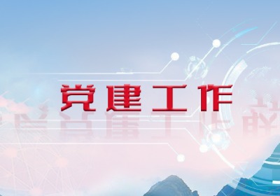 党建引领下的基层社会治理创新与公共服务能力提升